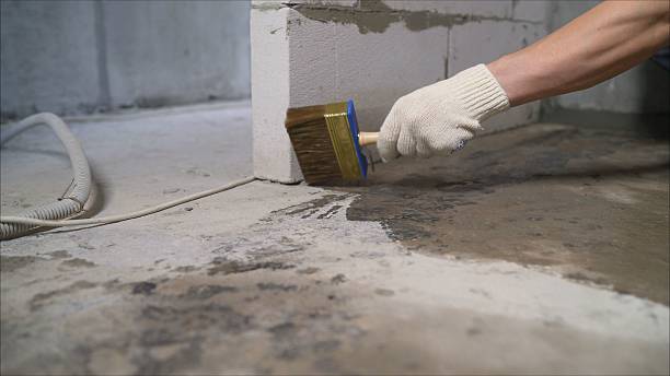 Top rated local Waterproofing specialists in Rhoadesville, VA